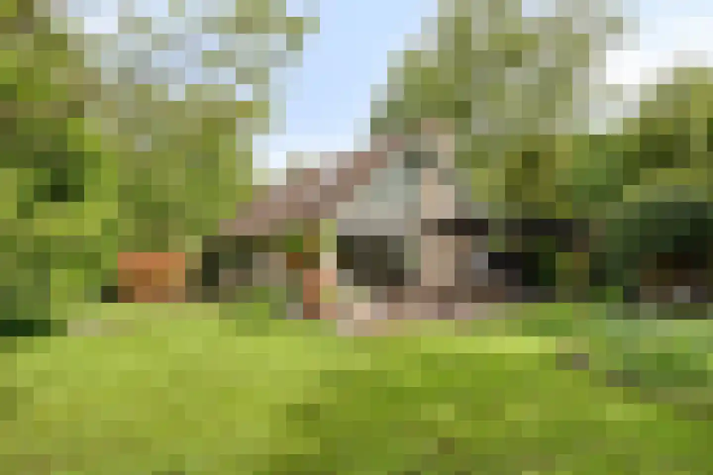 Beek en Brink 14 Zorgvlied thumbnail 35