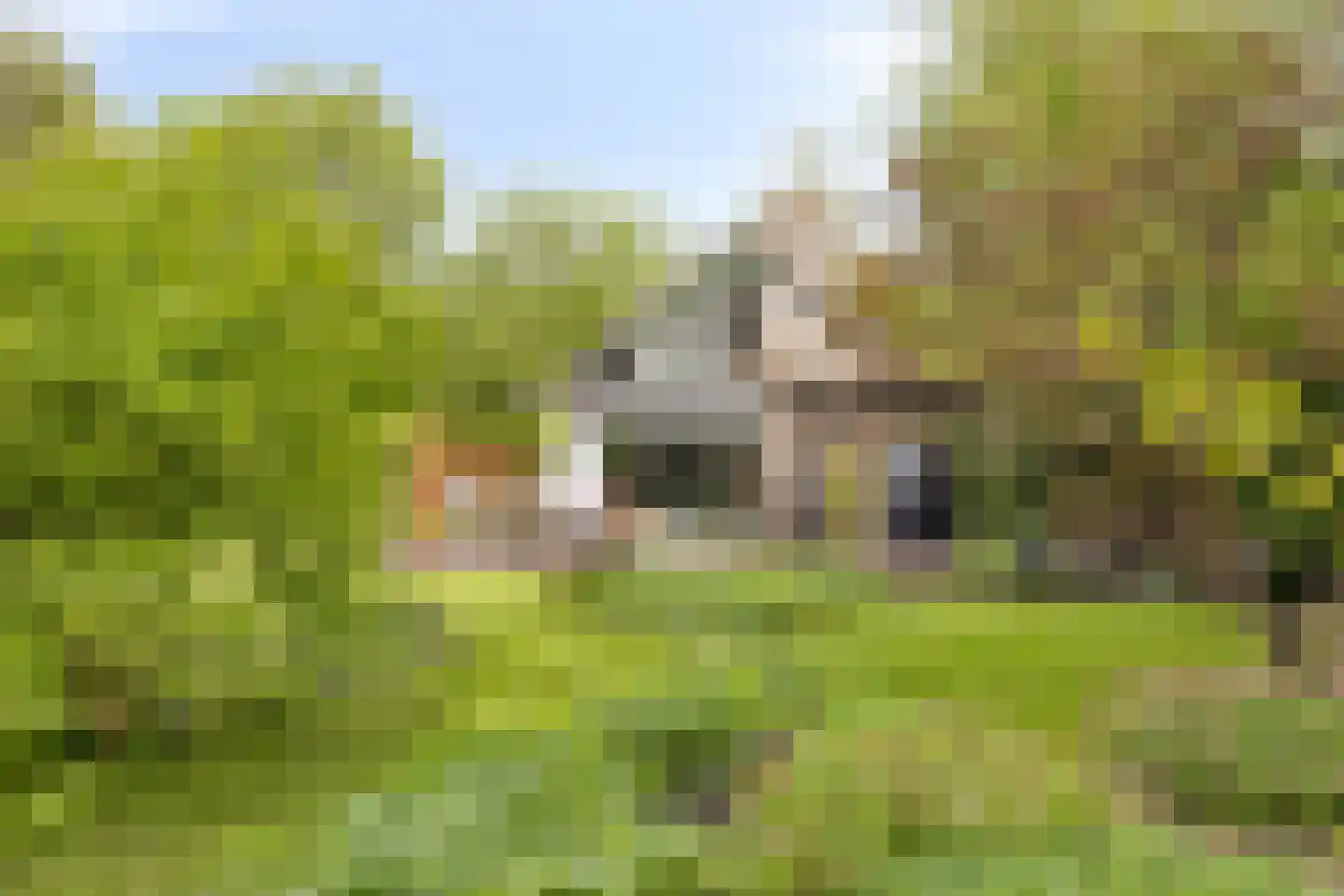 Beek en Brink 14 Zorgvlied thumbnail 36