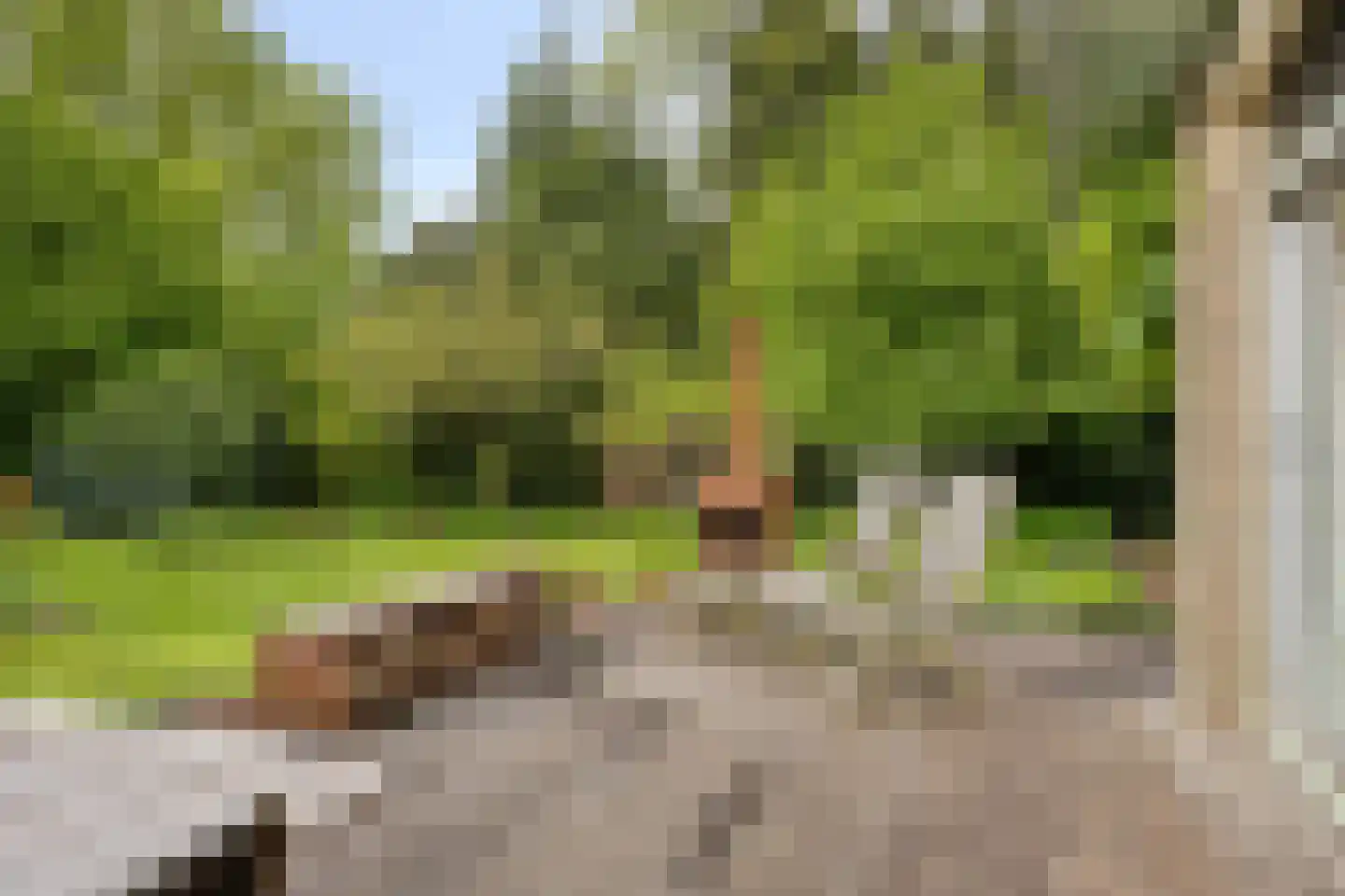 Beek en Brink 14 Zorgvlied thumbnail 38