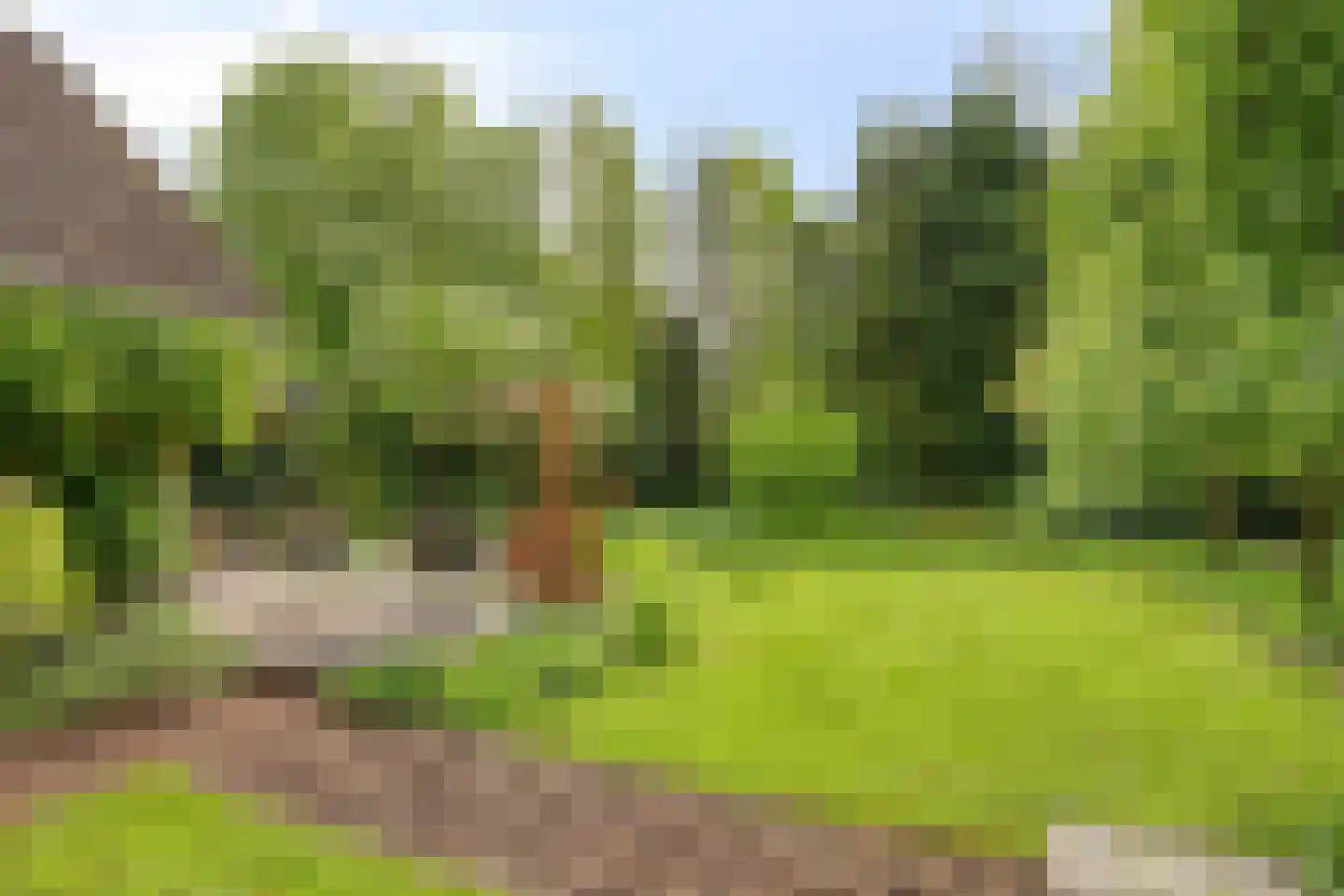 Beek en Brink 14 Zorgvlied thumbnail 40