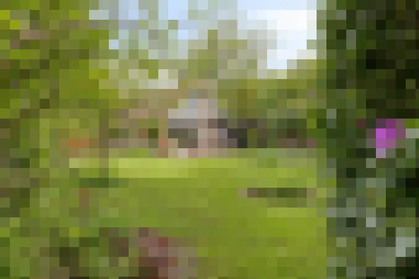Beek en Brink 14 Zorgvlied thumbnail 42
