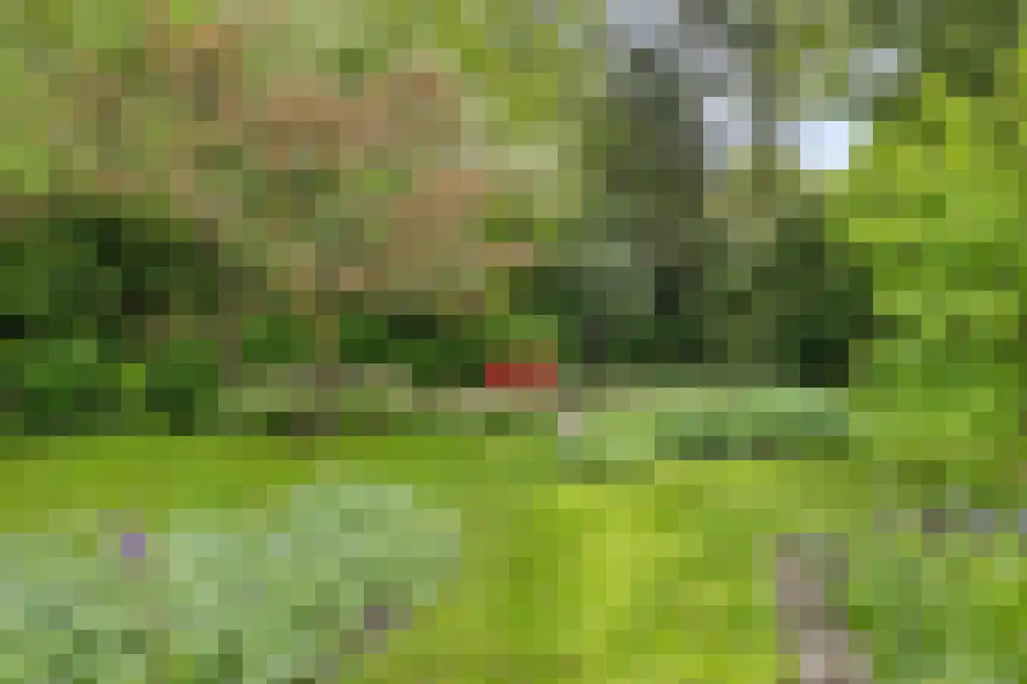 Beek en Brink 14 Zorgvlied thumbnail 43