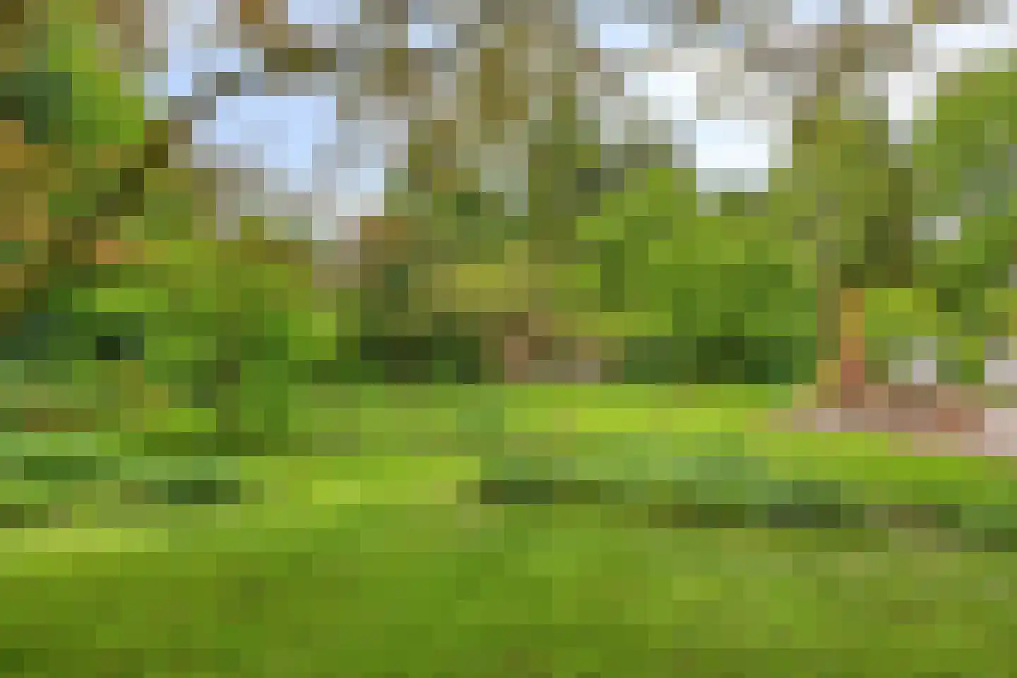 Beek en Brink 14 Zorgvlied thumbnail 45