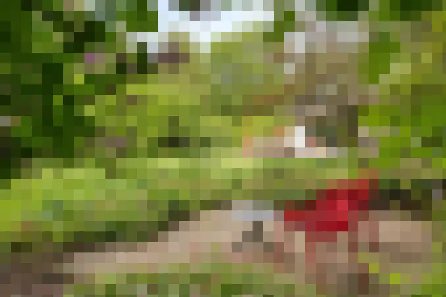 Beek en Brink 14 Zorgvlied thumbnail 46