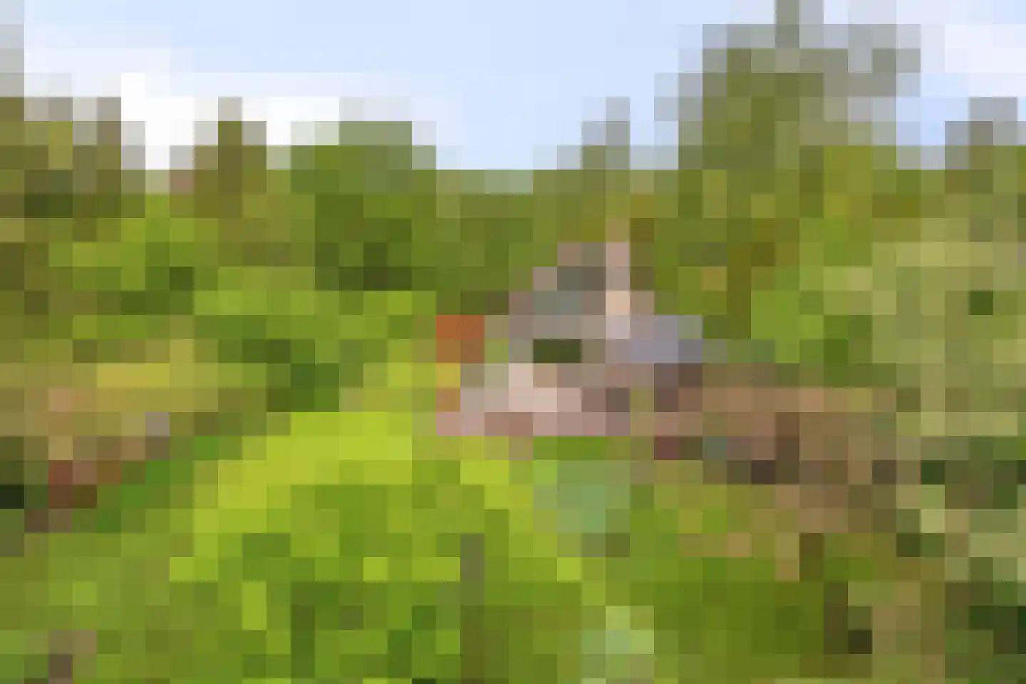 Beek en Brink 14 Zorgvlied thumbnail 47