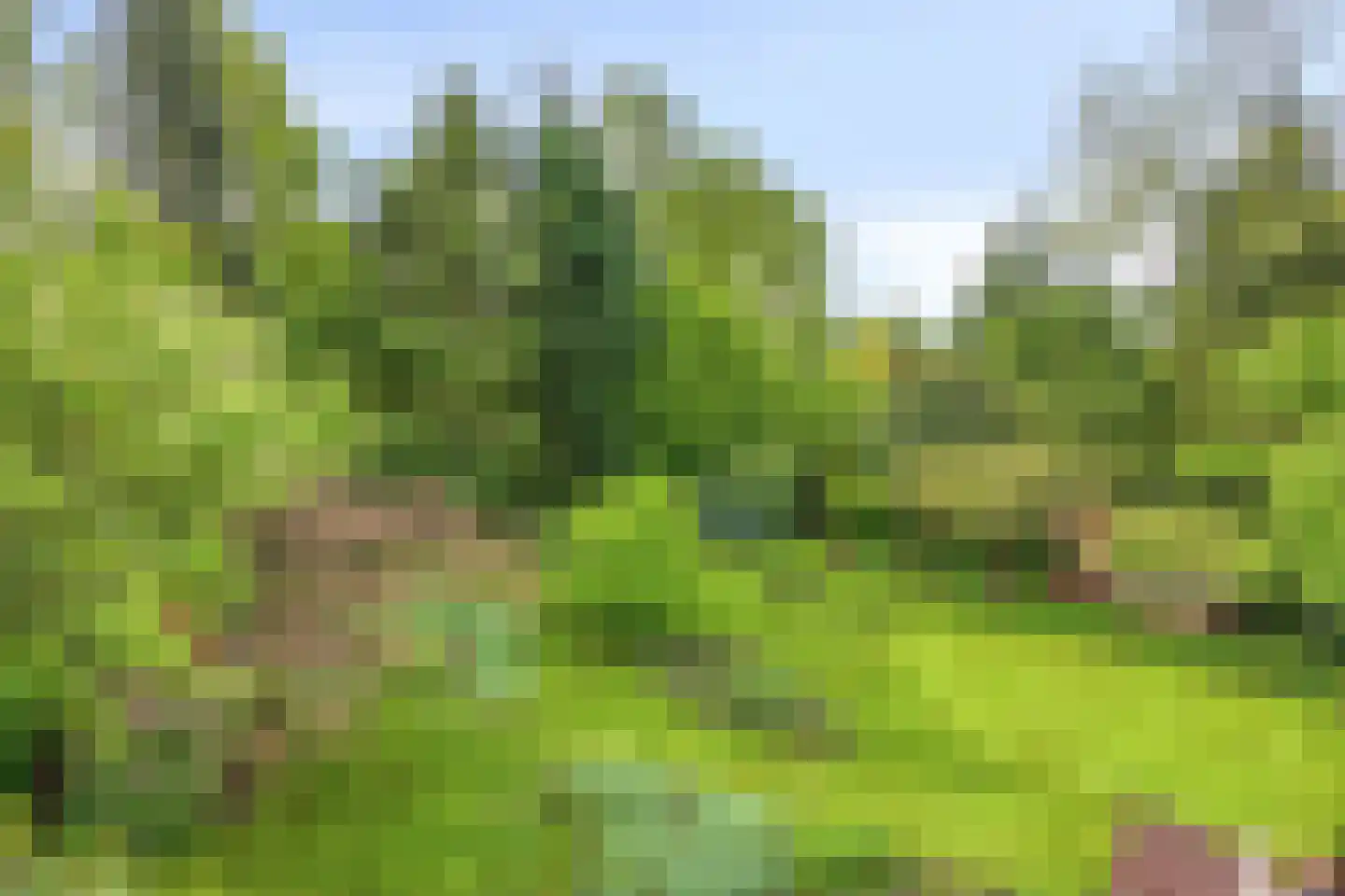Beek en Brink 14 Zorgvlied thumbnail 48