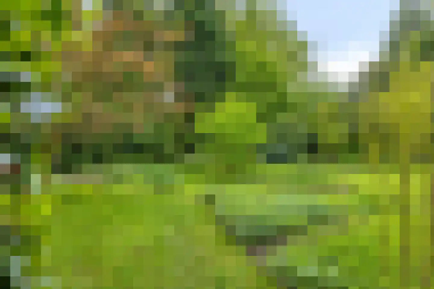 Beek en Brink 14 Zorgvlied thumbnail 49
