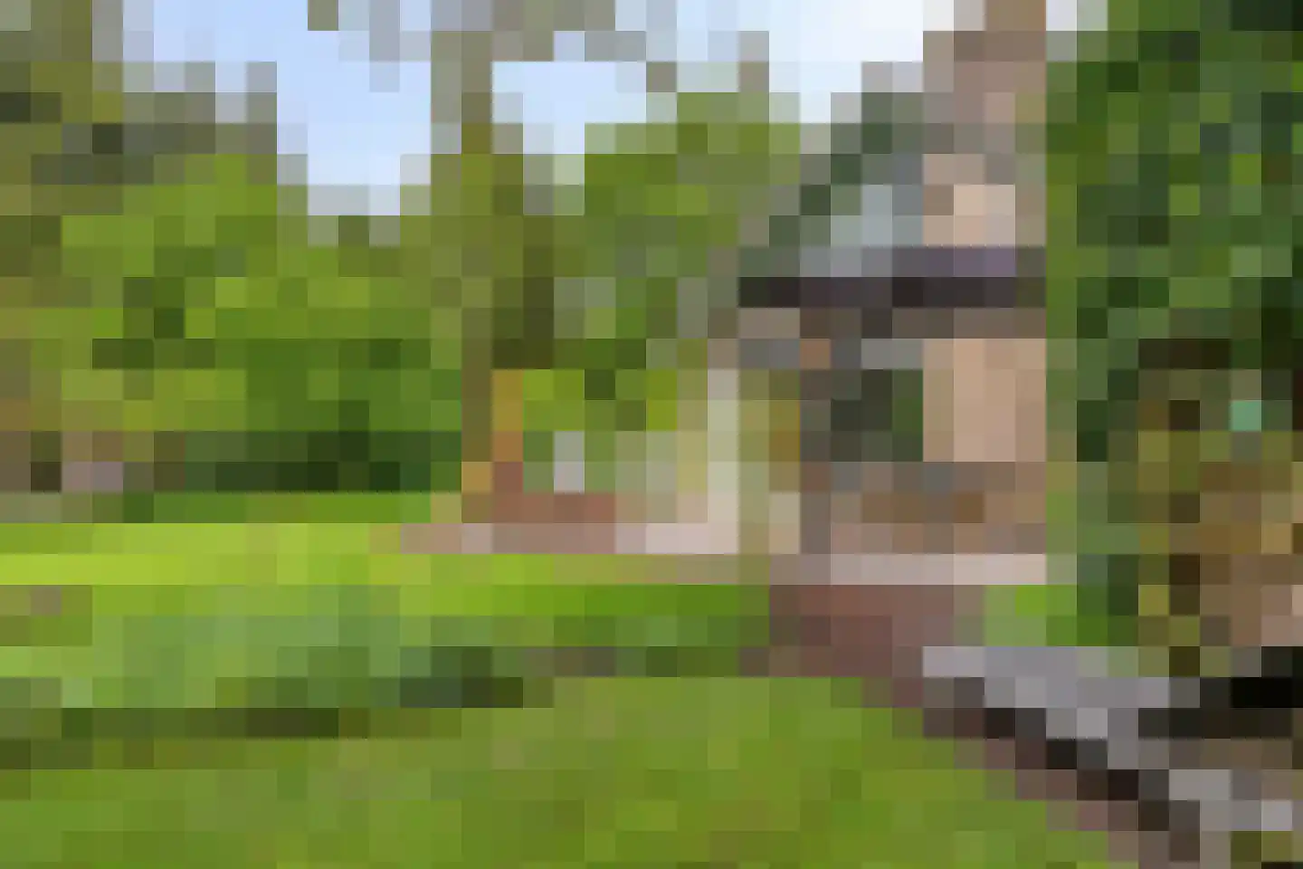 Beek en Brink 14 Zorgvlied thumbnail 50