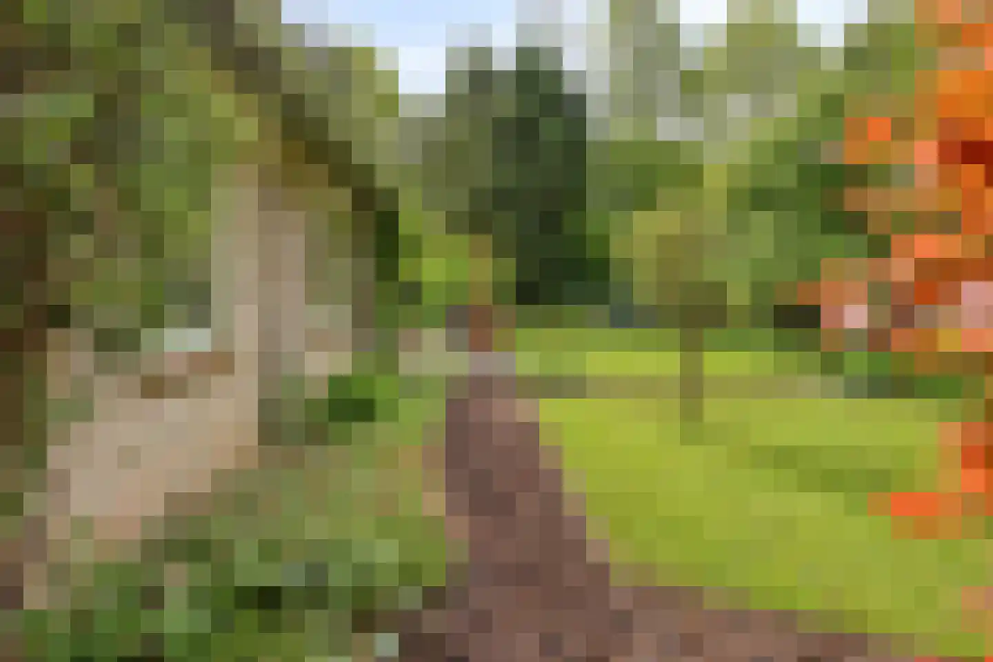 Beek en Brink 14 Zorgvlied thumbnail 51