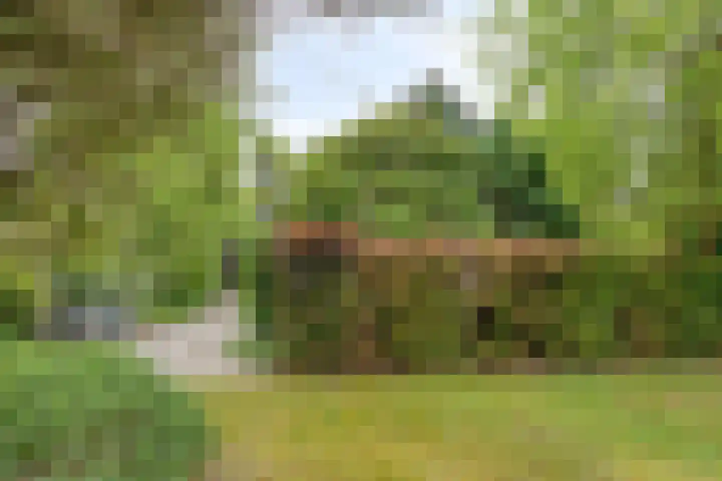 Beek en Brink 14 Zorgvlied thumbnail 54