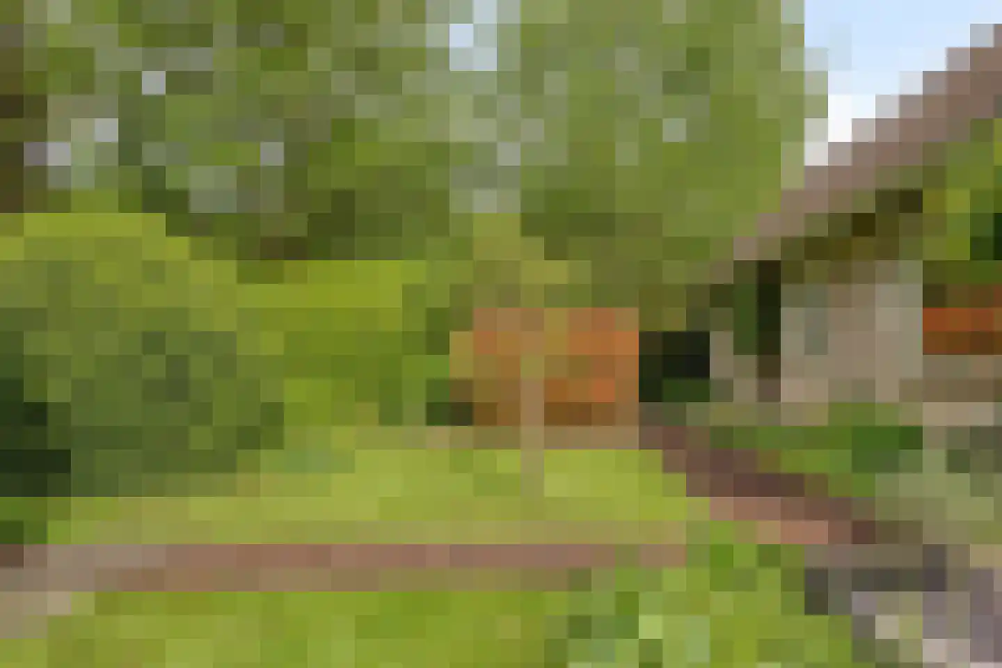 Beek en Brink 14 Zorgvlied thumbnail 55