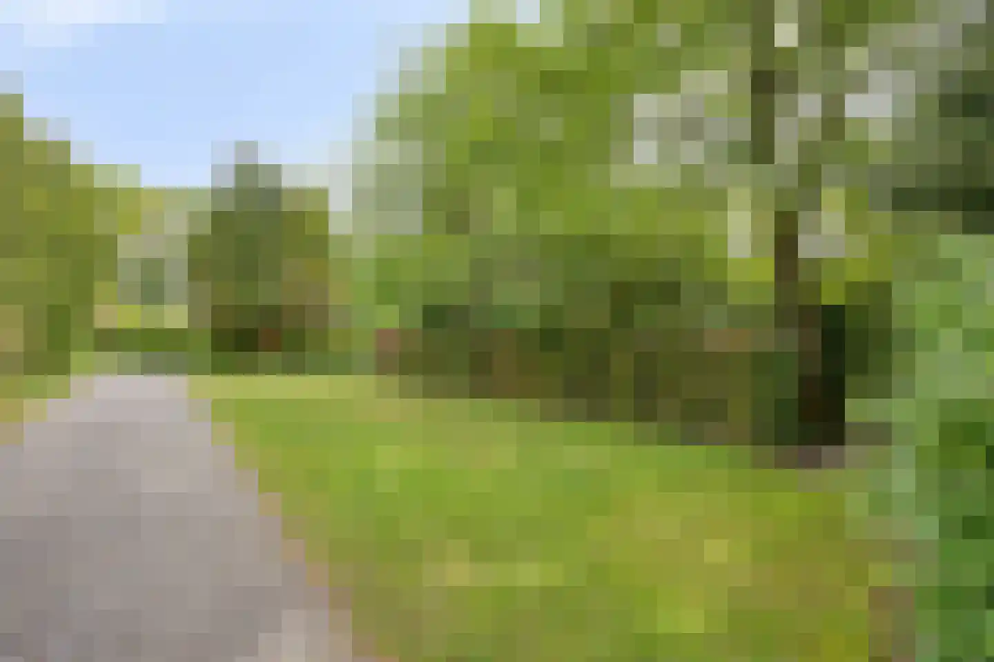 Beek en Brink 14 Zorgvlied thumbnail 58