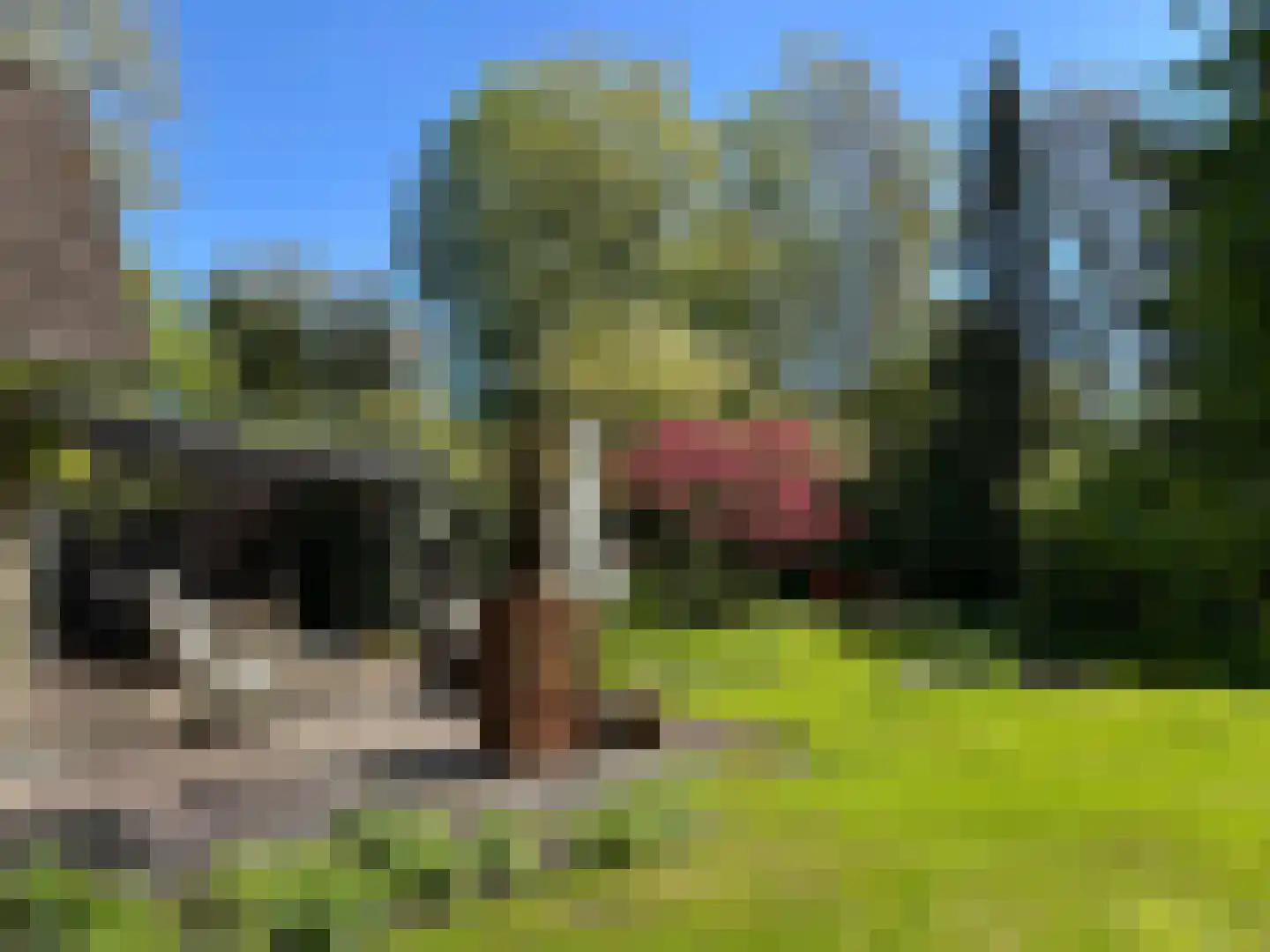 Beek en Brink 14 Zorgvlied thumbnail 63