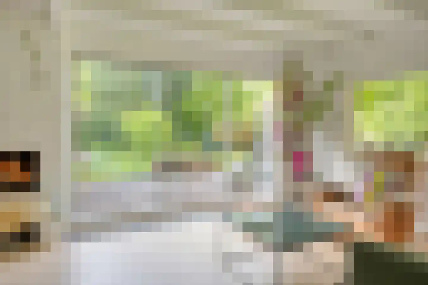 Beek en Brink 14 Zorgvlied thumbnail 7