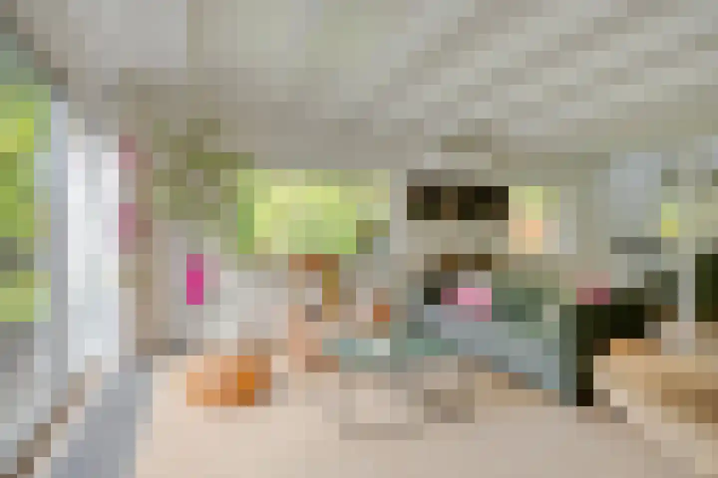 Beek en Brink 14 Zorgvlied thumbnail 9
