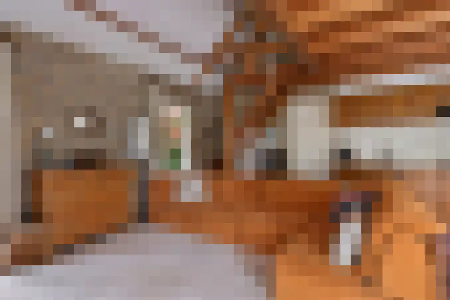 Beek en Brink 16 Zorgvlied thumbnail 12