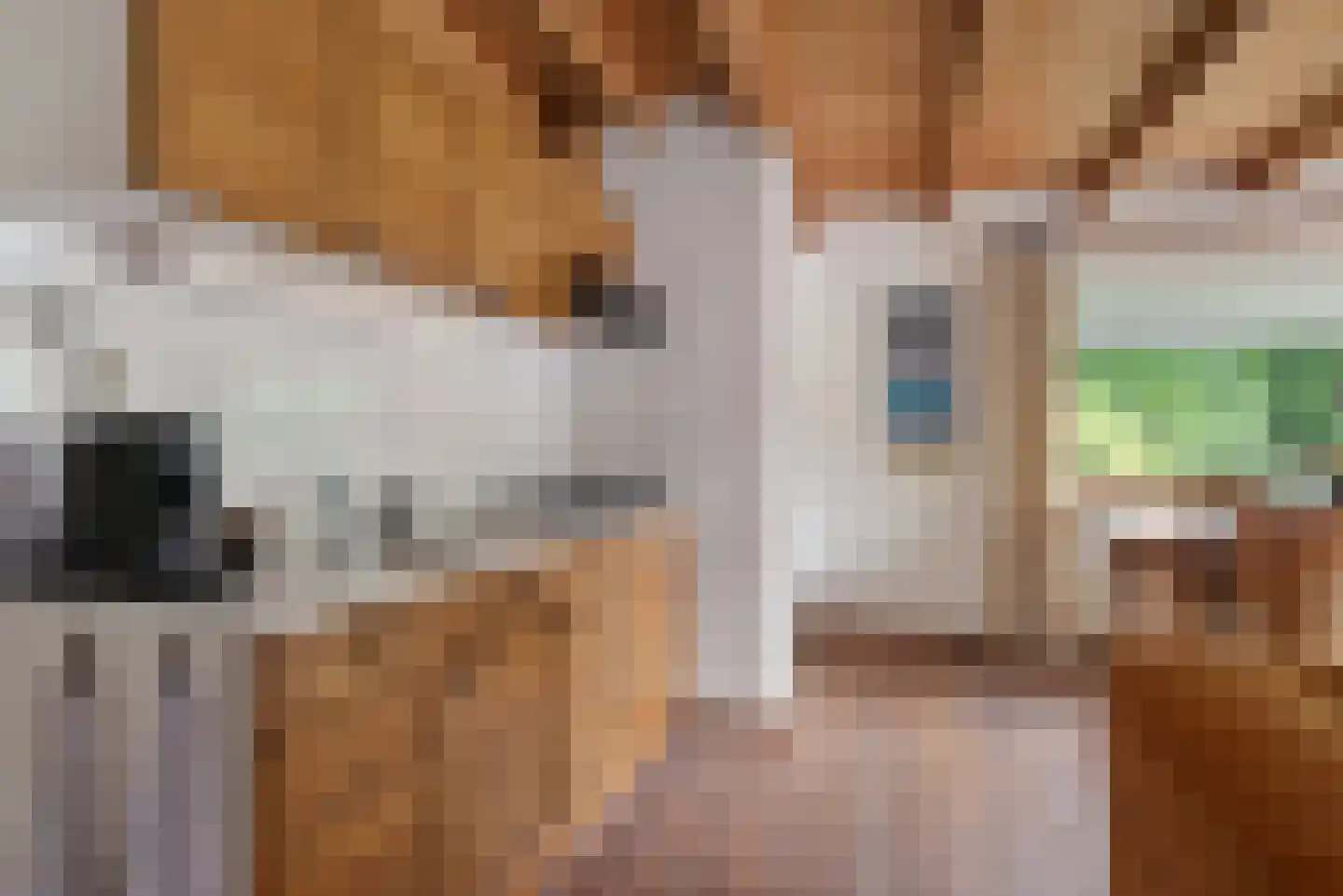 Beek en Brink 16 Zorgvlied thumbnail 15