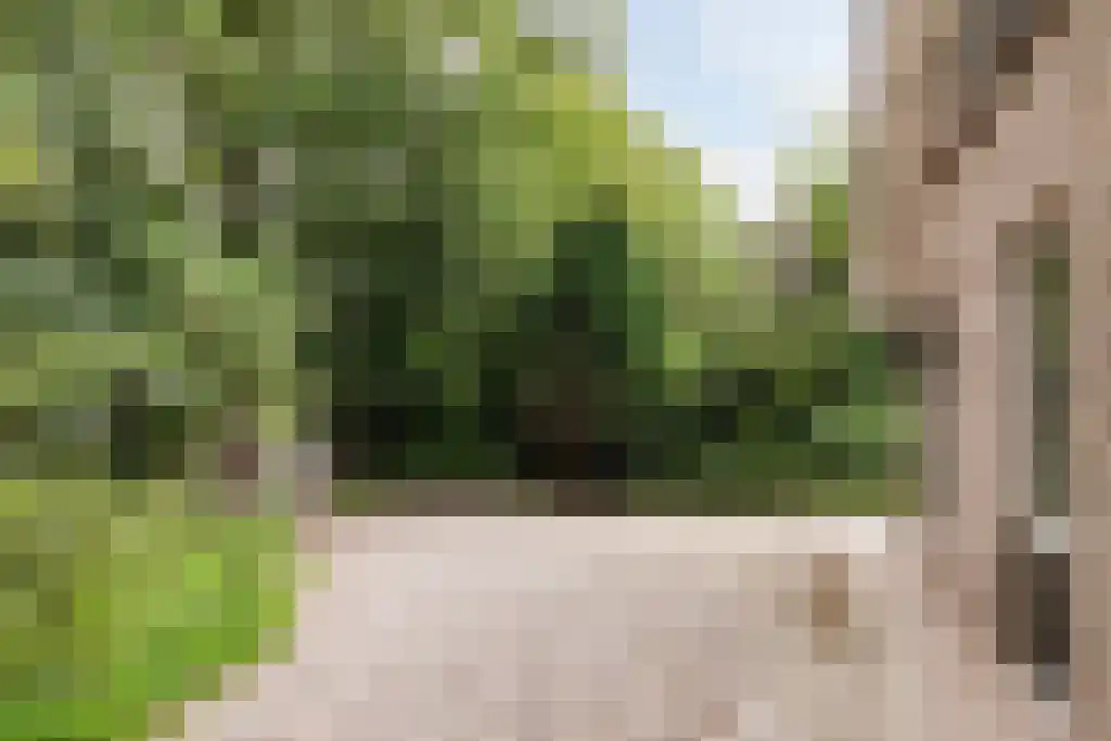 Beek en Brink 16 Zorgvlied thumbnail 31