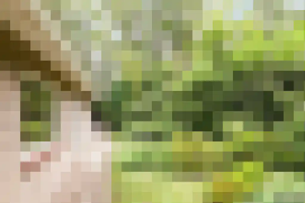 Beek en Brink 16 Zorgvlied thumbnail 34