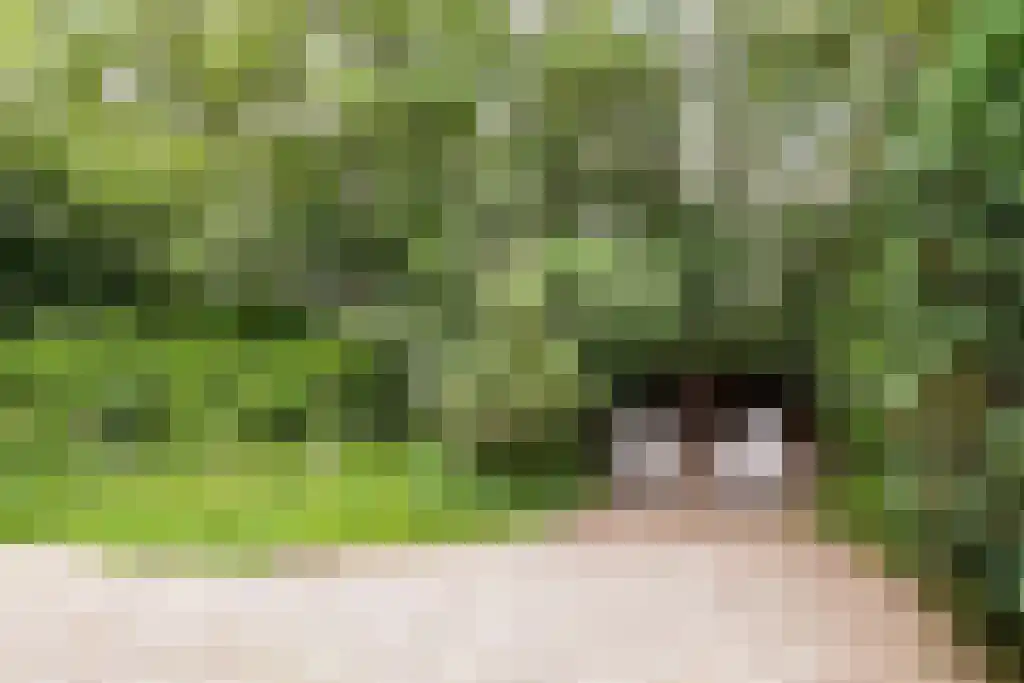 Beek en Brink 16 Zorgvlied thumbnail 35