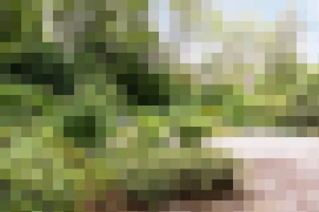 Beek en Brink 16 Zorgvlied thumbnail 36