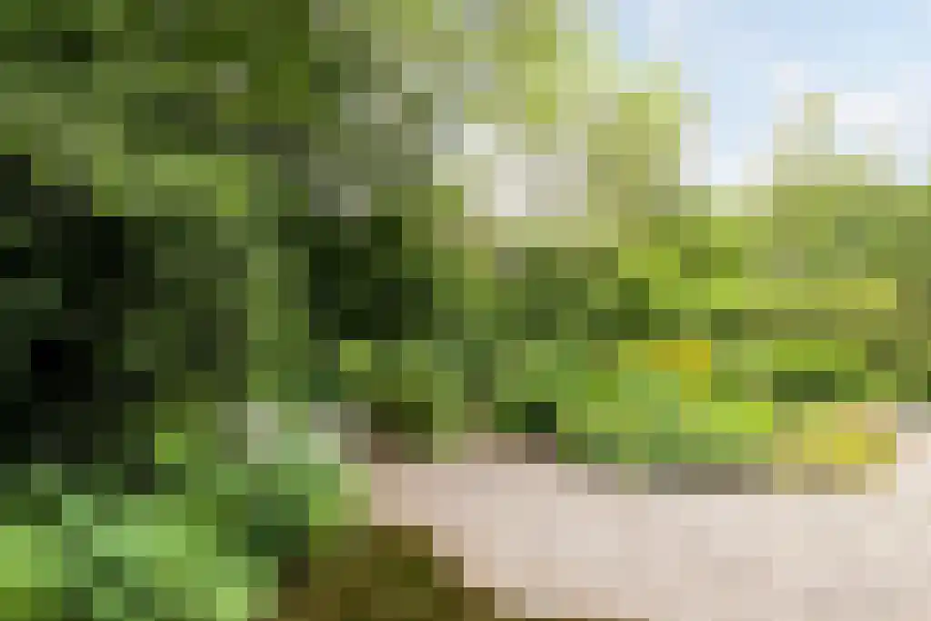 Beek en Brink 16 Zorgvlied thumbnail 37