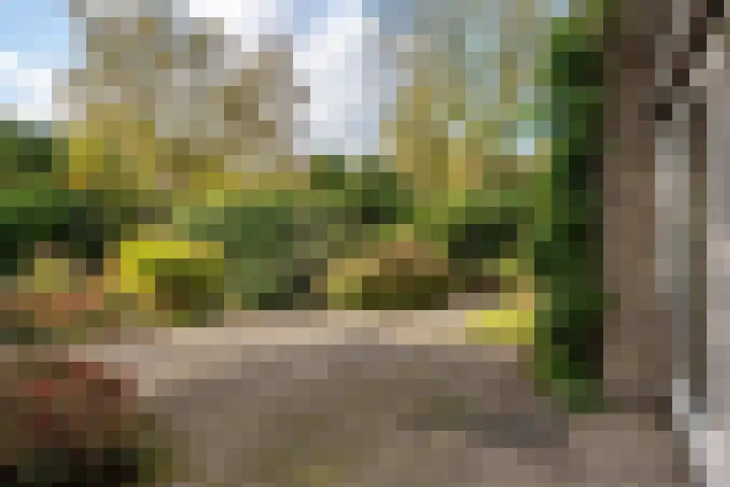 Beek en Brink 16 Zorgvlied thumbnail 38