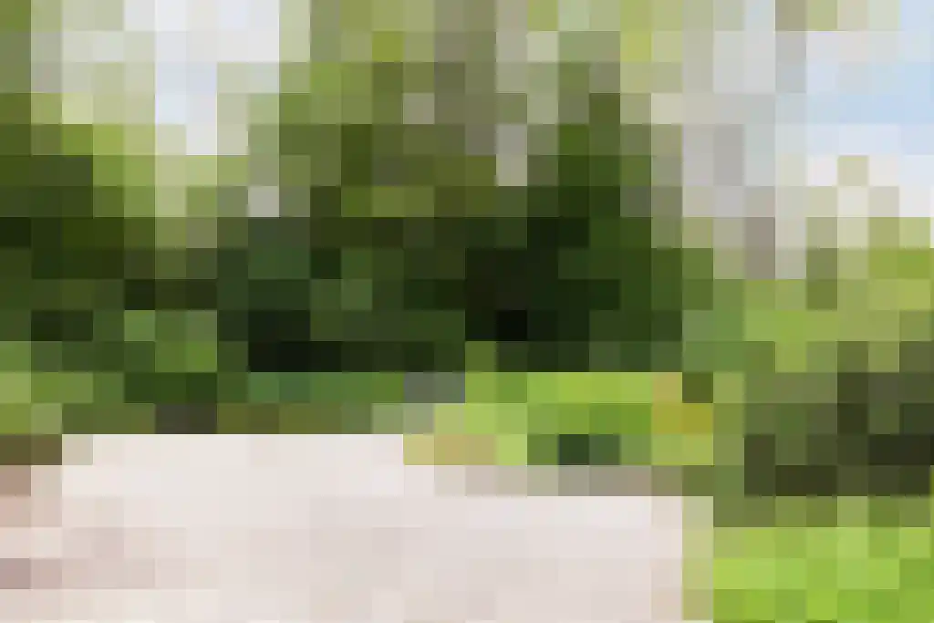 Beek en Brink 16 Zorgvlied thumbnail 4
