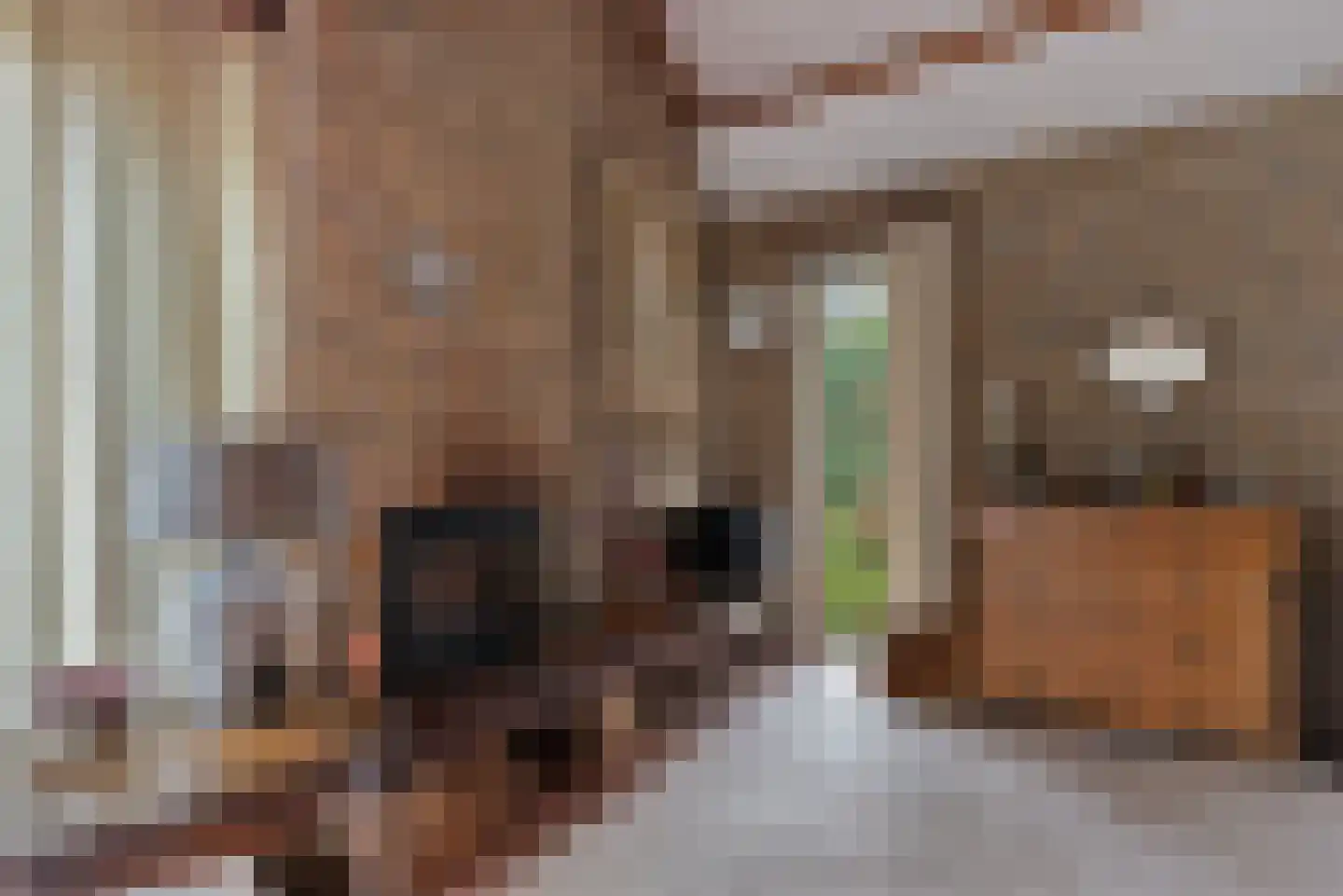 Beek en Brink 16 Zorgvlied thumbnail 9