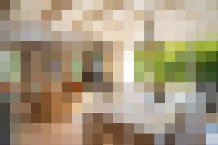 Beek en Brink 17 Zorgvlied thumbnail 11
