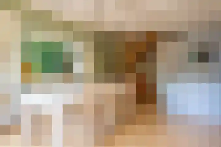 Beek en Brink 17 Zorgvlied thumbnail 12
