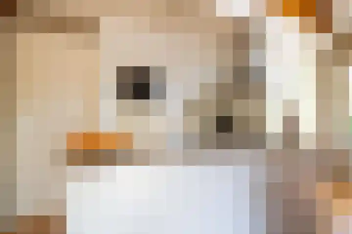 Beek en Brink 17 Zorgvlied thumbnail 13