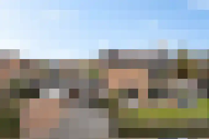 Beek en Brink 17 Zorgvlied thumbnail 21