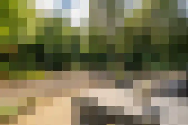 Beek en Brink 17 Zorgvlied thumbnail 24