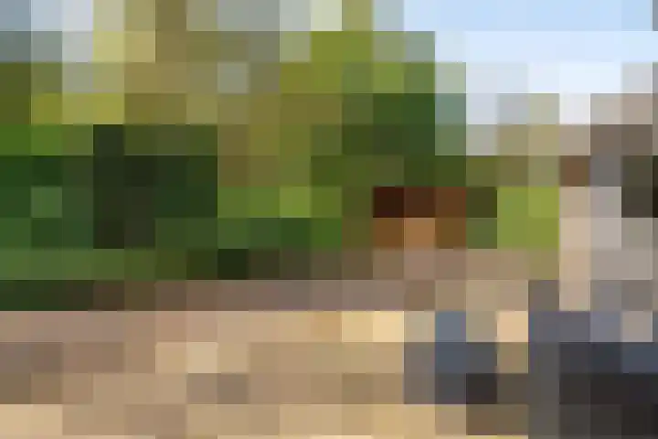 Beek en Brink 17 Zorgvlied thumbnail 25