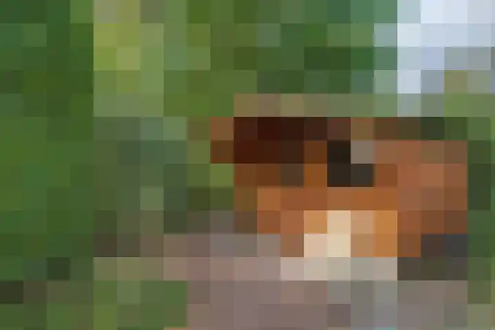 Beek en Brink 17 Zorgvlied thumbnail 26