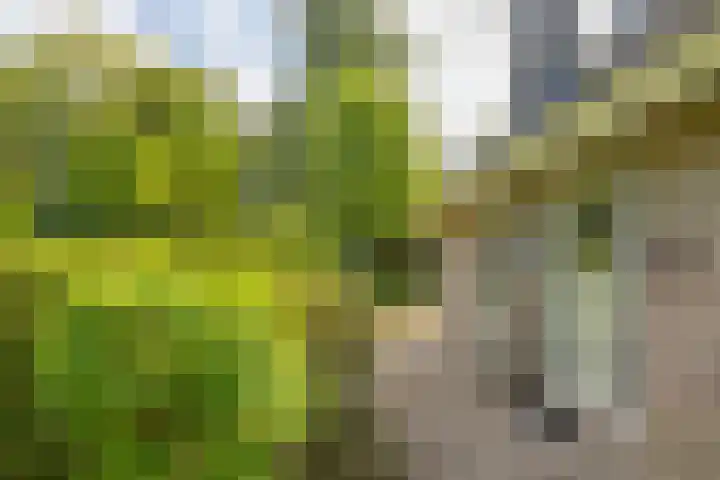 Beek en Brink 17 Zorgvlied thumbnail 29