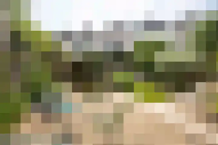 Beek en Brink 17 Zorgvlied thumbnail 30