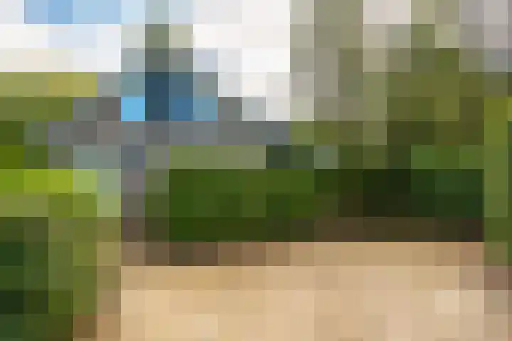 Beek en Brink 17 Zorgvlied thumbnail 30