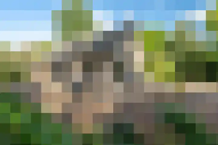 Beek en Brink 17 Zorgvlied thumbnail 31