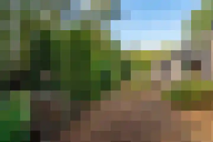 Beek en Brink 17 Zorgvlied thumbnail 32