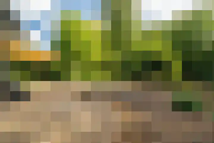 Beek en Brink 17 Zorgvlied thumbnail 34