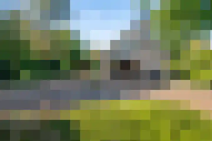 Beek en Brink 17 Zorgvlied thumbnail 35