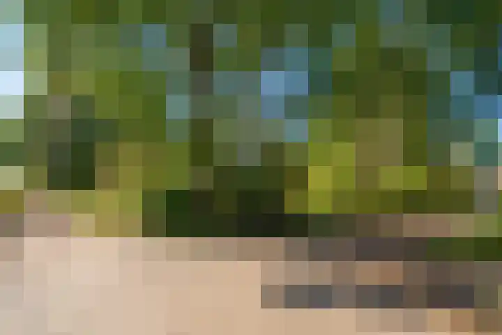 Beek en Brink 17 Zorgvlied thumbnail 36