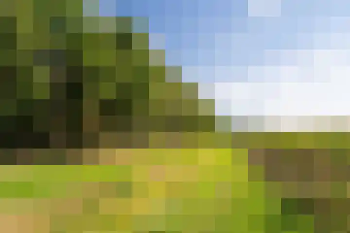 Beek en Brink 17 Zorgvlied thumbnail 37