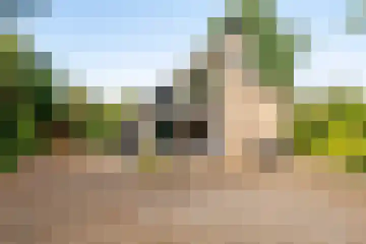 Beek en Brink 17 Zorgvlied thumbnail 38