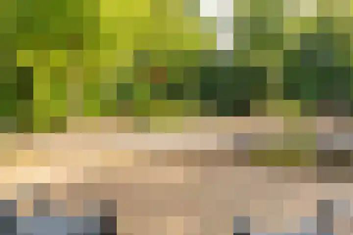 Beek en Brink 17 Zorgvlied thumbnail 4