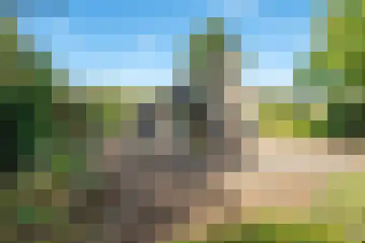 Beek en Brink 17 Zorgvlied thumbnail 5