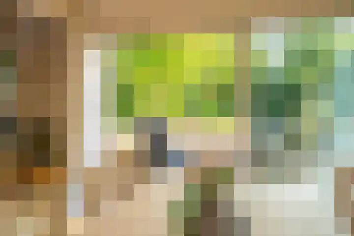 Beek en Brink 17 Zorgvlied thumbnail 6