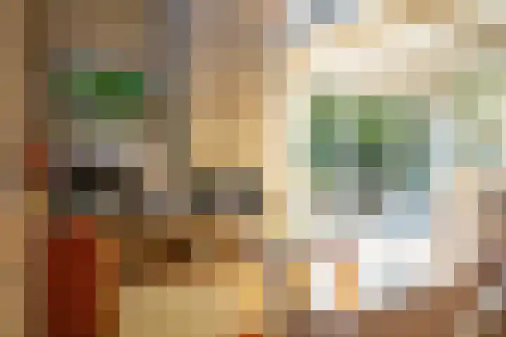 Beek en Brink 17 Zorgvlied thumbnail 7